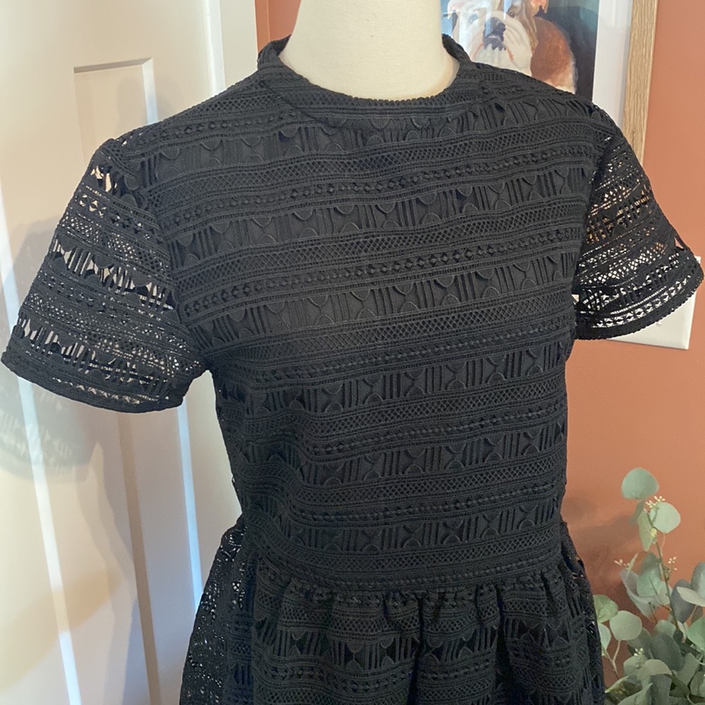 Rachel Parcell Anglaise L Black embroidered overlay fit & flare lined knee dress - Picture 4 of 16